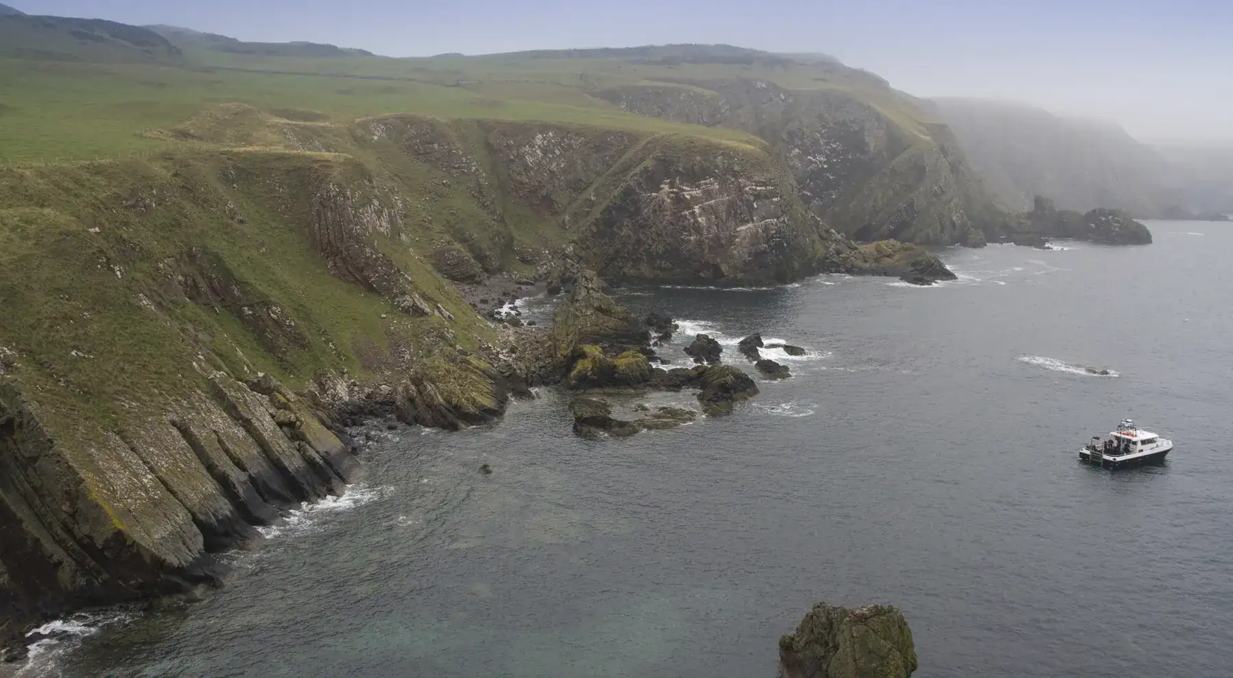 Le scogliere di St Abbs Head sulla costa orientale scozzese